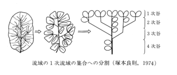 1次流域.gif