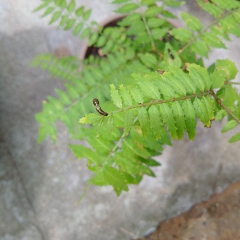IMG_20190615_104622.jpg
