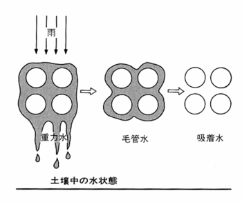 土壌中の水状態.gif