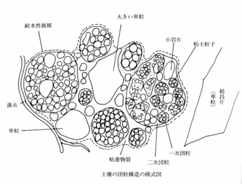 土壌団粒構造.gif