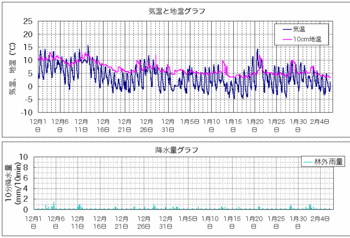 地温と気温.gif