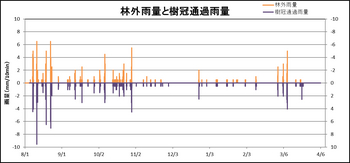 林外と樹冠通過雨量.JPG