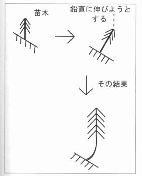 根曲がりの図.gif