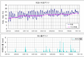 気温と地温090711.gif