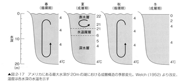 湖の成層.jpg