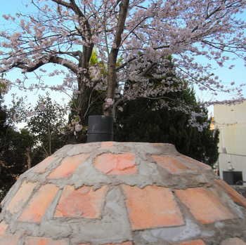 石窯と桜１.jpg