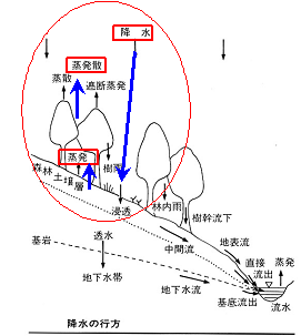 降水の行方2.gif