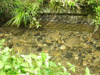 IMGP0054_R.JPG