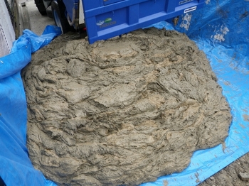 IMGP7767.jpg