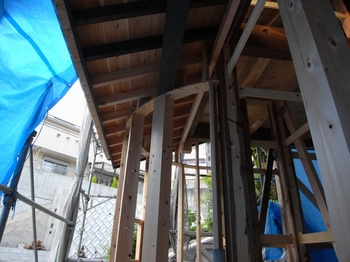 R0023530.jpg