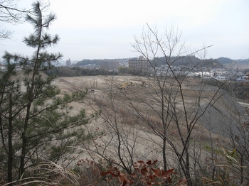 R0024275.JPG
